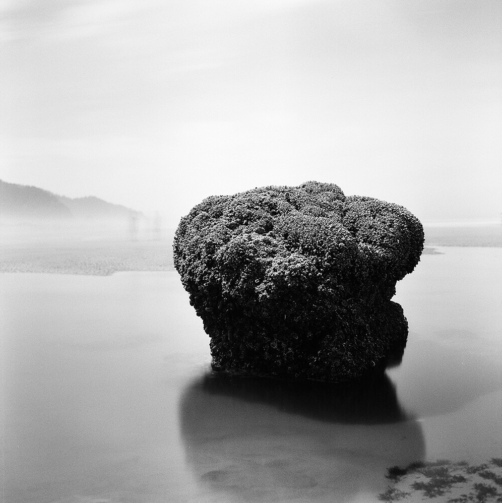 BWXX 胶卷 实拍样片